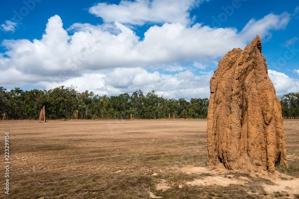 Obraz Termite mound in Australian Outback