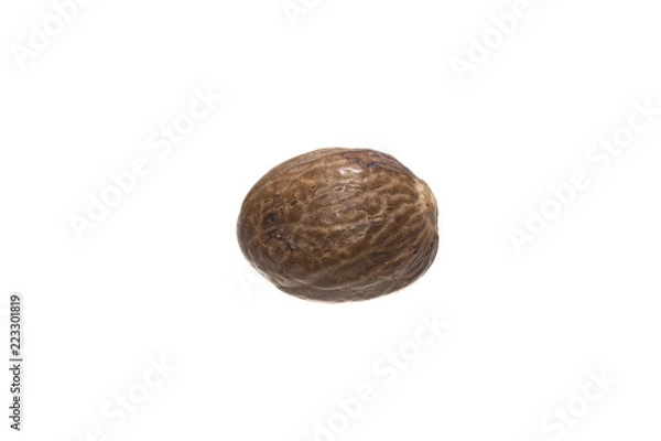 Fototapeta chestnut isolated on white background