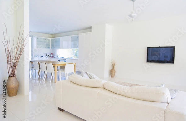 Fototapeta Modern house, living room