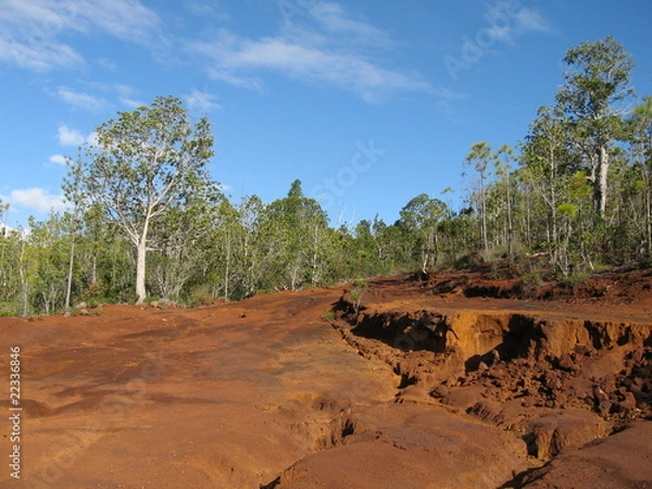 Fototapeta Terre rouge