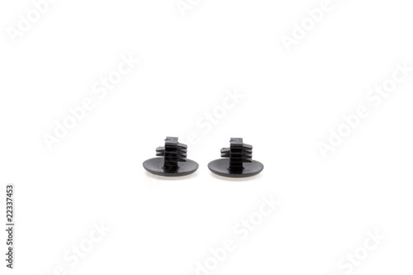 Obraz Two plastic rivet isolated