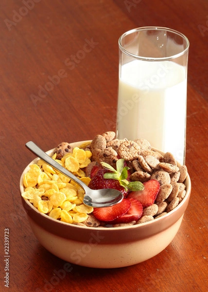 Obraz cereals bowl