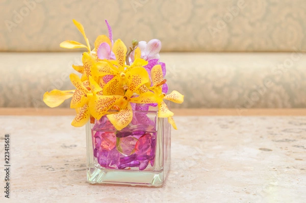 Obraz Pink and yellow Orchid flower on the vase, select focus with shallow depth of field