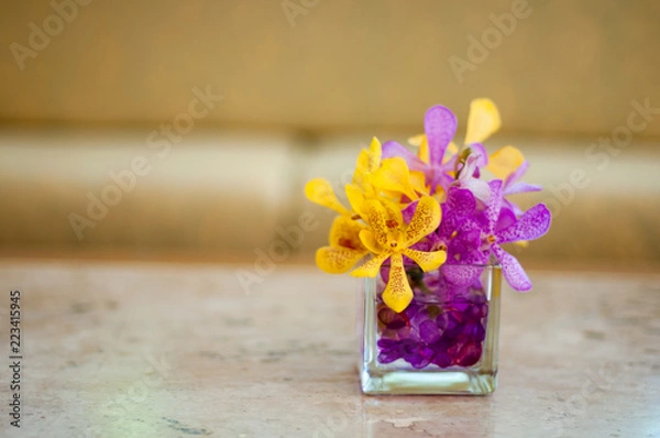 Obraz Pink and yellow Orchid flower on the vase, select focus with shallow depth of field