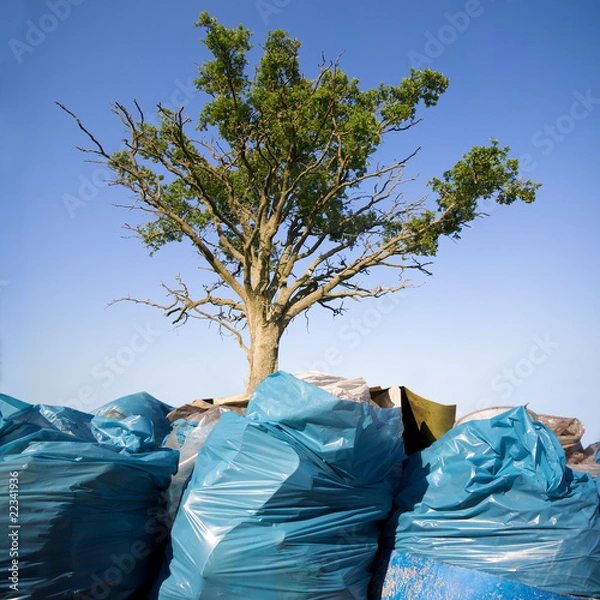 Obraz Tree growing from the garbage