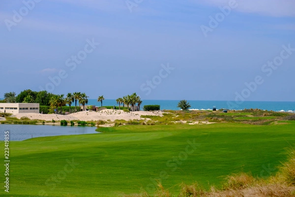 Fototapeta Feb 26, 2018: Dates / Palm Tree at Saadiyat Island Golf Course, Abu Dhabi