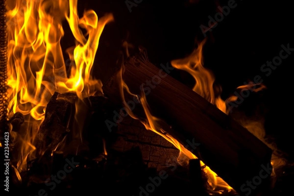 Obraz Flames of Fire