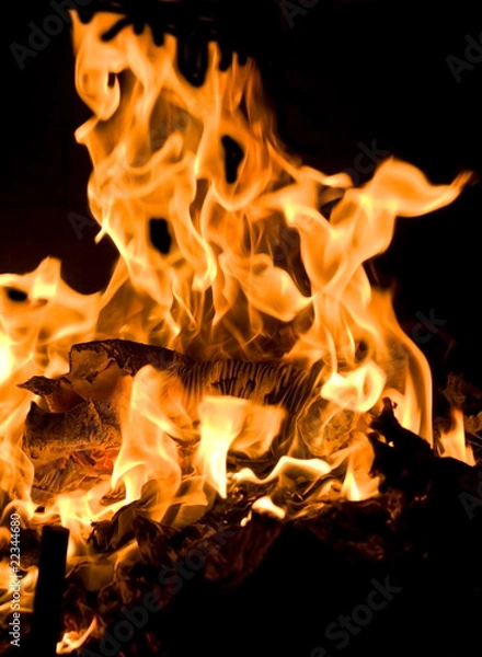 Obraz Flames of Fire