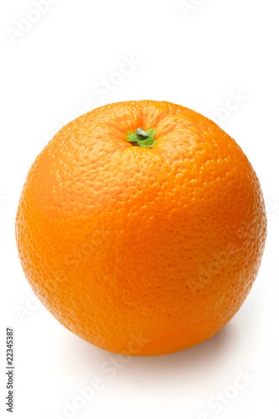 Obraz orange