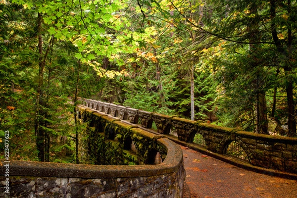 Obraz Mossy stone bridge trail through lush forest