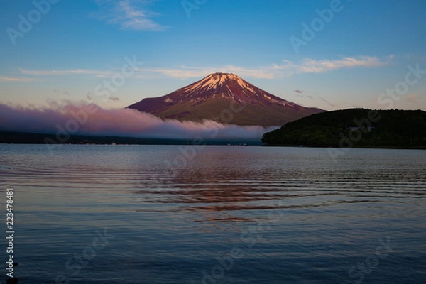 Fototapeta 山中湖と富士山