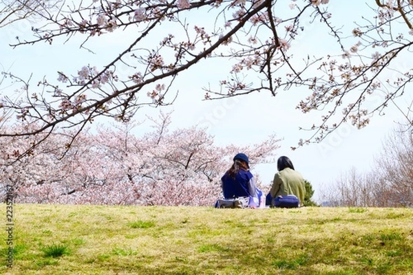 Obraz 【四季】春の風景