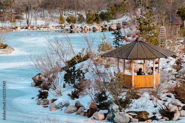 Fototapeta Looking over  a gazebo in the japanese garden in the Frederik Meijer gardens during winter