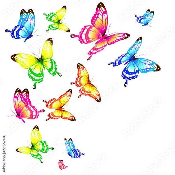Fototapeta beautiful color butterflies,set, isolated  on a white