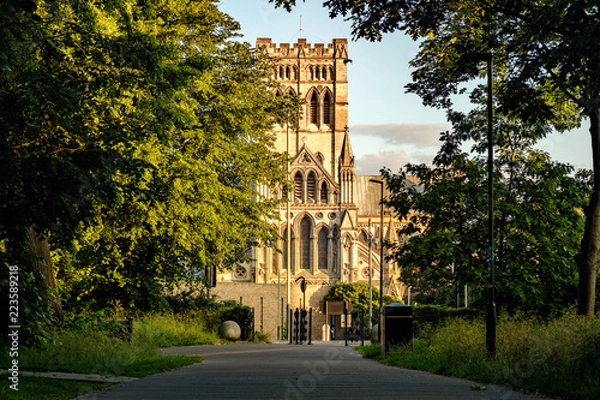 Obraz Cathedral through the Trees