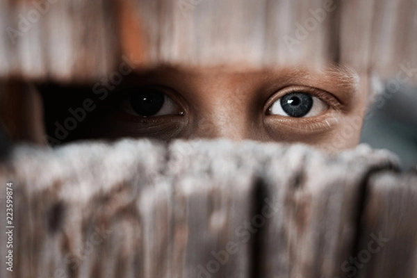Fototapeta Boy looks through the gap in the fence. The concept of voyeurism, curiosity, Stalker, surveillance and security