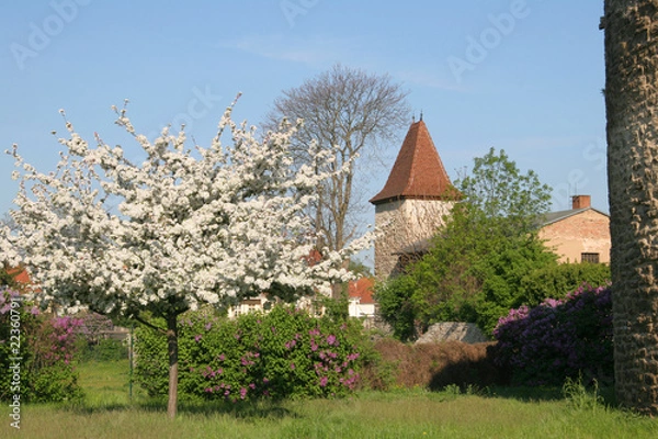 Obraz Stadtmauer Staßfurt