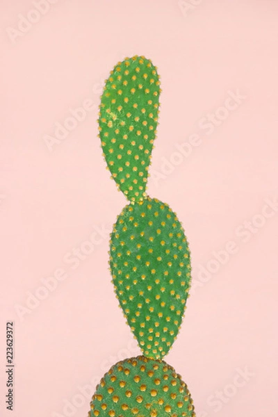 Fototapeta Green cactus with yellow polka dot pattern on pastel pink background