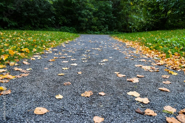 Fototapeta Autumn path