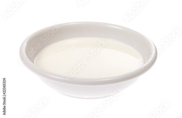 Obraz Milk Bowl