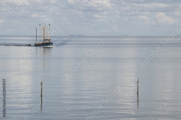 Fototapeta Fishing boat is emptying the nets, placed along the Aflsluitdijk in a calm peacfull IJsslemeer