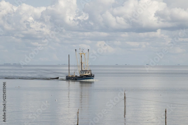 Fototapeta Fishing boat is emptying the nets, placed along the Aflsluitdijk in a calm peacfull IJsslemeer
