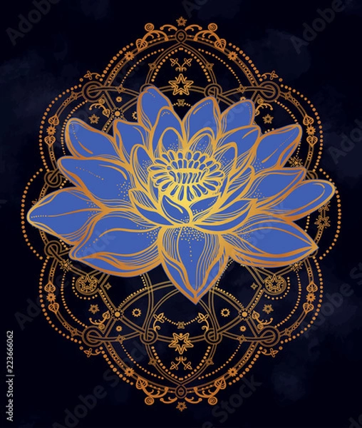 Obraz Beautiful boho lotus flower.