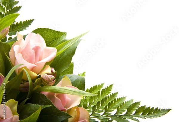 Fototapeta Karta kwiatowa