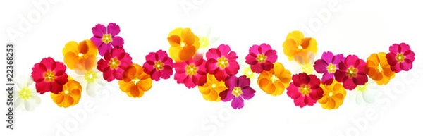 Fototapeta Granica kwiaty letnie