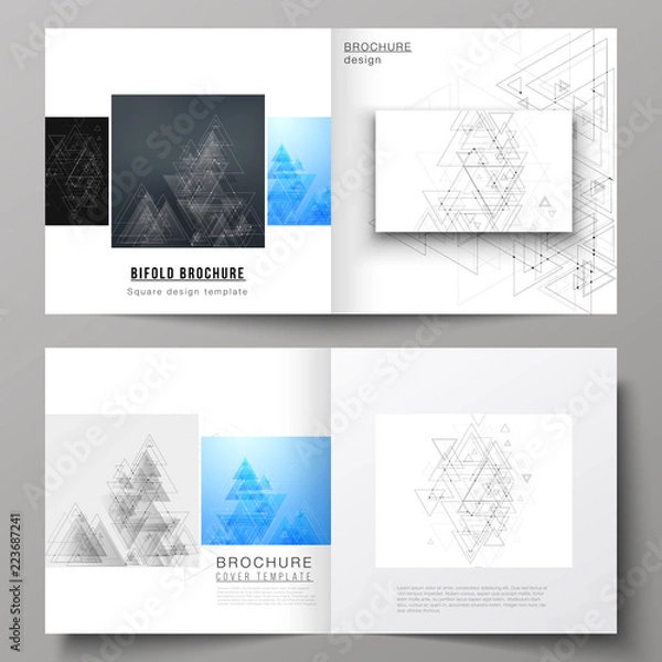 Fototapeta The vector illustration of layout of two covers templates for square design bifold brochure, magazine, flyer. Polygonal background with triangles, connecting dots and lines. Connection structure.