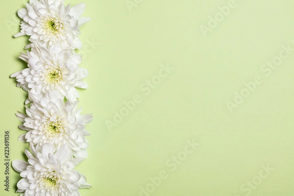 Fototapeta White flowers over green background. Flat lay, top view.