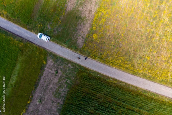 Obraz Road across grass with car