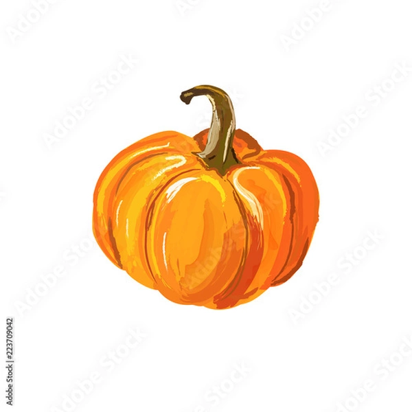 Obraz Pumpkin isolatet on a white background