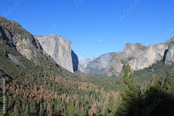 Obraz ヨセミテ国立公園