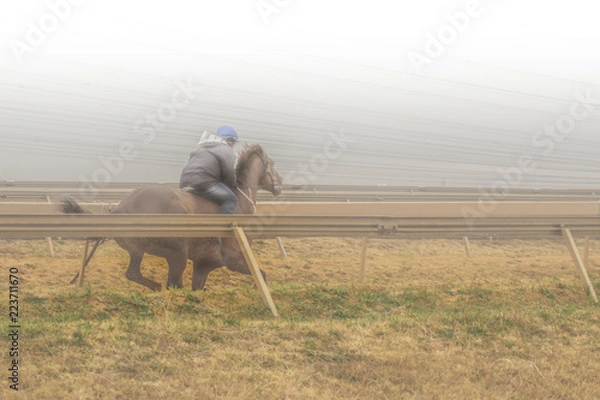Fototapeta track training