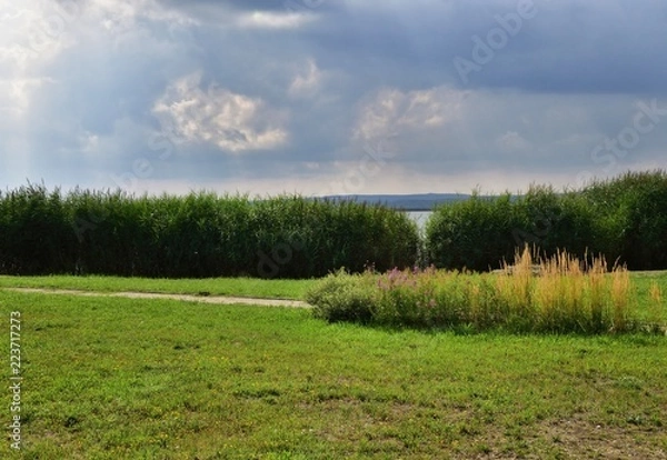 Obraz landscape with green field and blue sky
