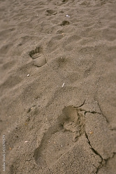 Obraz footprints in the sand