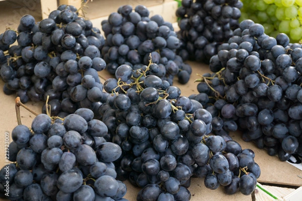 Fototapeta Fresh vegetables on stands of market in autumn