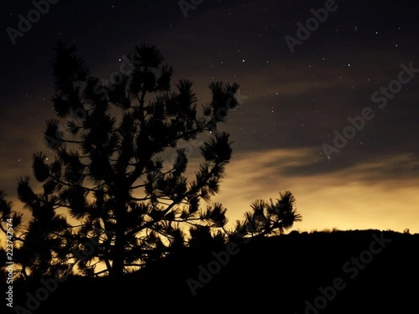 Obraz Night Time In SoCal