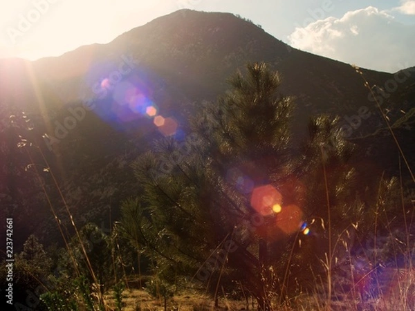 Obraz 3000 Feet Elevation