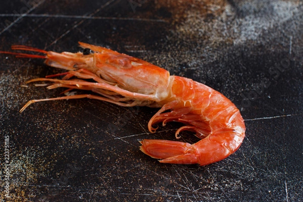 Obraz Raw shrimp on a dark table