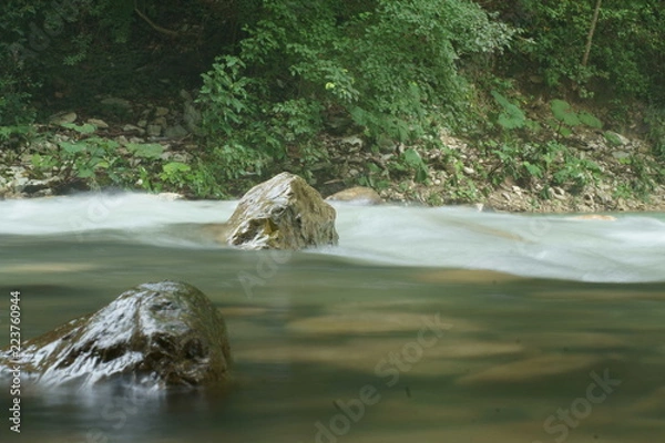 Obraz stream in forest