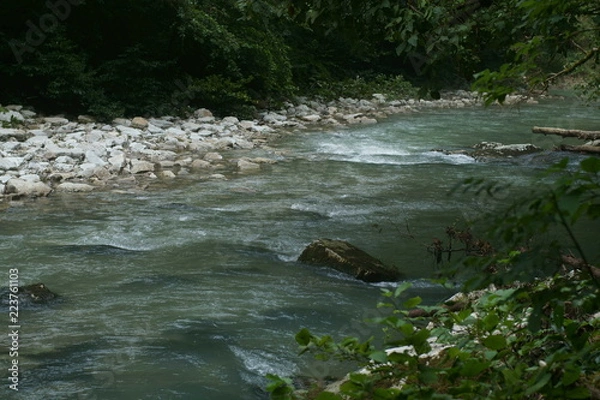 Obraz river in the forest