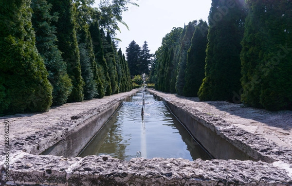 Obraz Pond with thuja trees all around