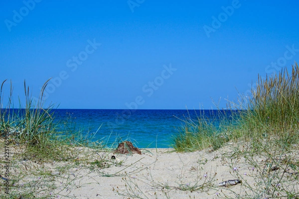 Fototapeta Path to the beach