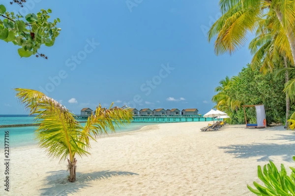 Obraz Somewhere in the Maldives.