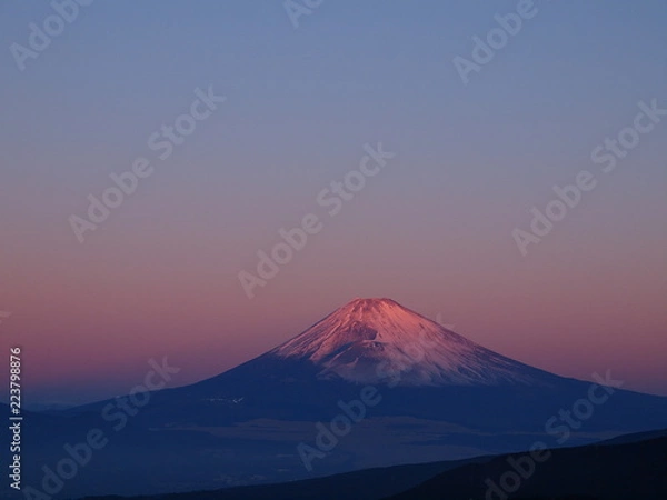 Fototapeta 元旦の朝焼け富士