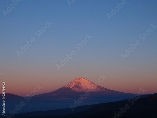 Fototapeta 元旦の朝焼け富士