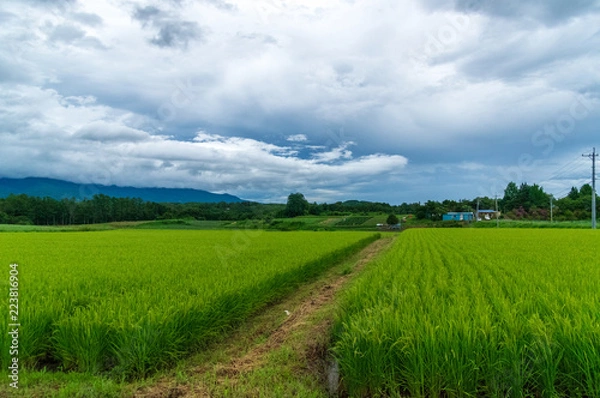 Fototapeta 御牧原