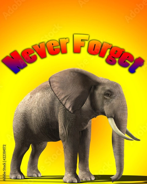 Fototapeta Elephant That Never Forgets